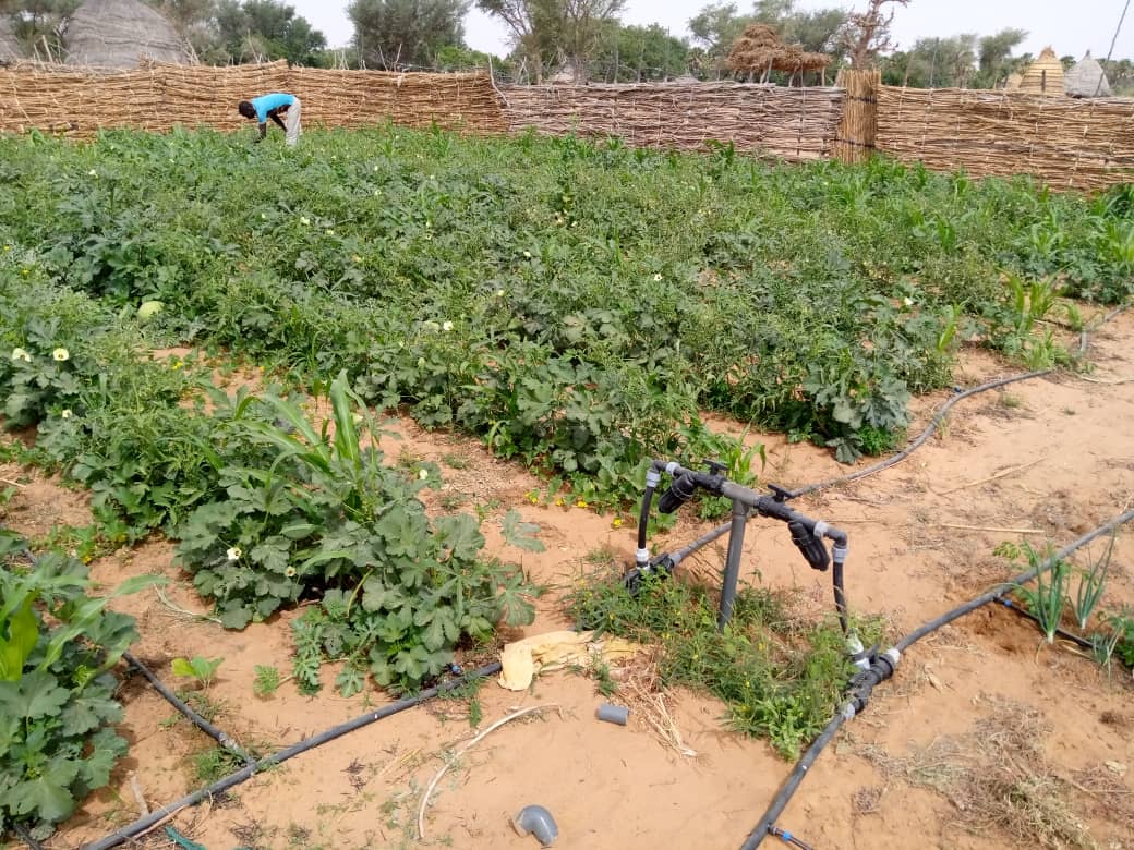 Produits et solutions pour une irrigation de précision
