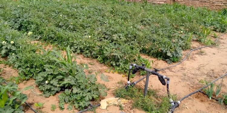 Produits et solutions pour une irrigation de précision