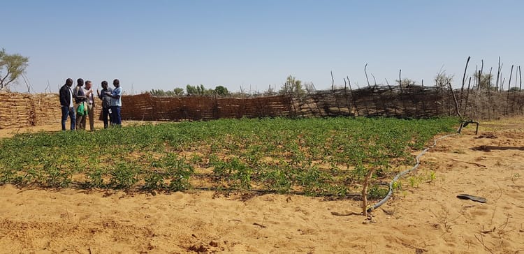 Irrigation de précision : Pouvoir à l'agriculteur